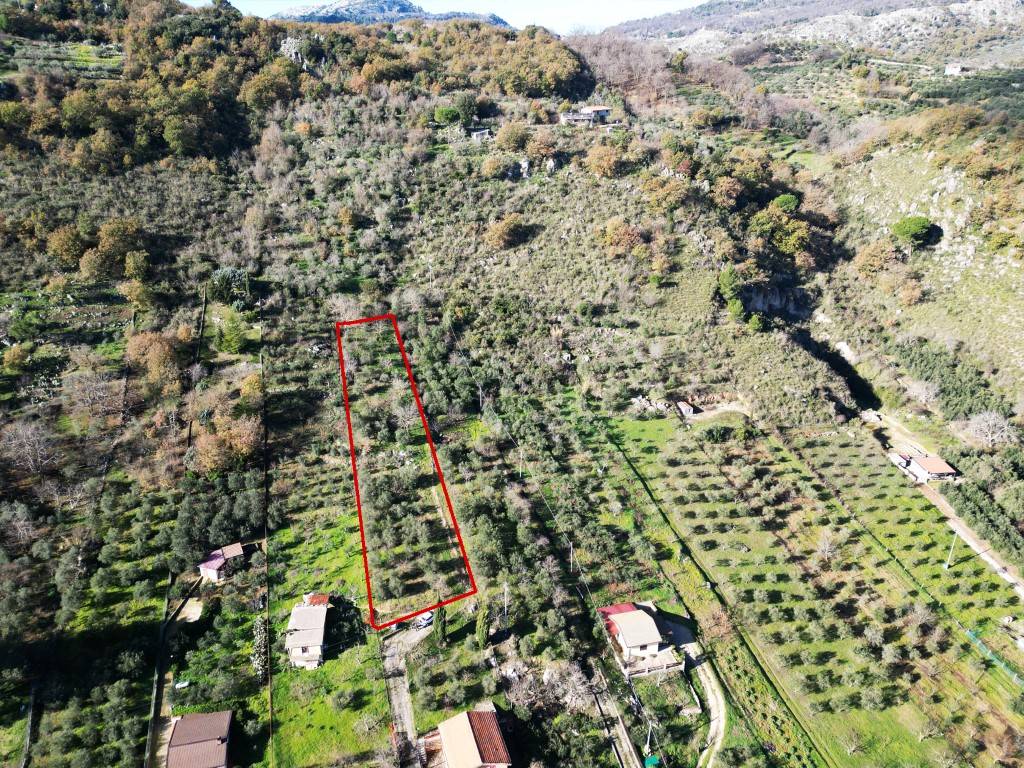 Terreno Agricolo in vendita a Altofonte, 9999 locali, prezzo € 12.500 | PortaleAgenzieImmobiliari.it