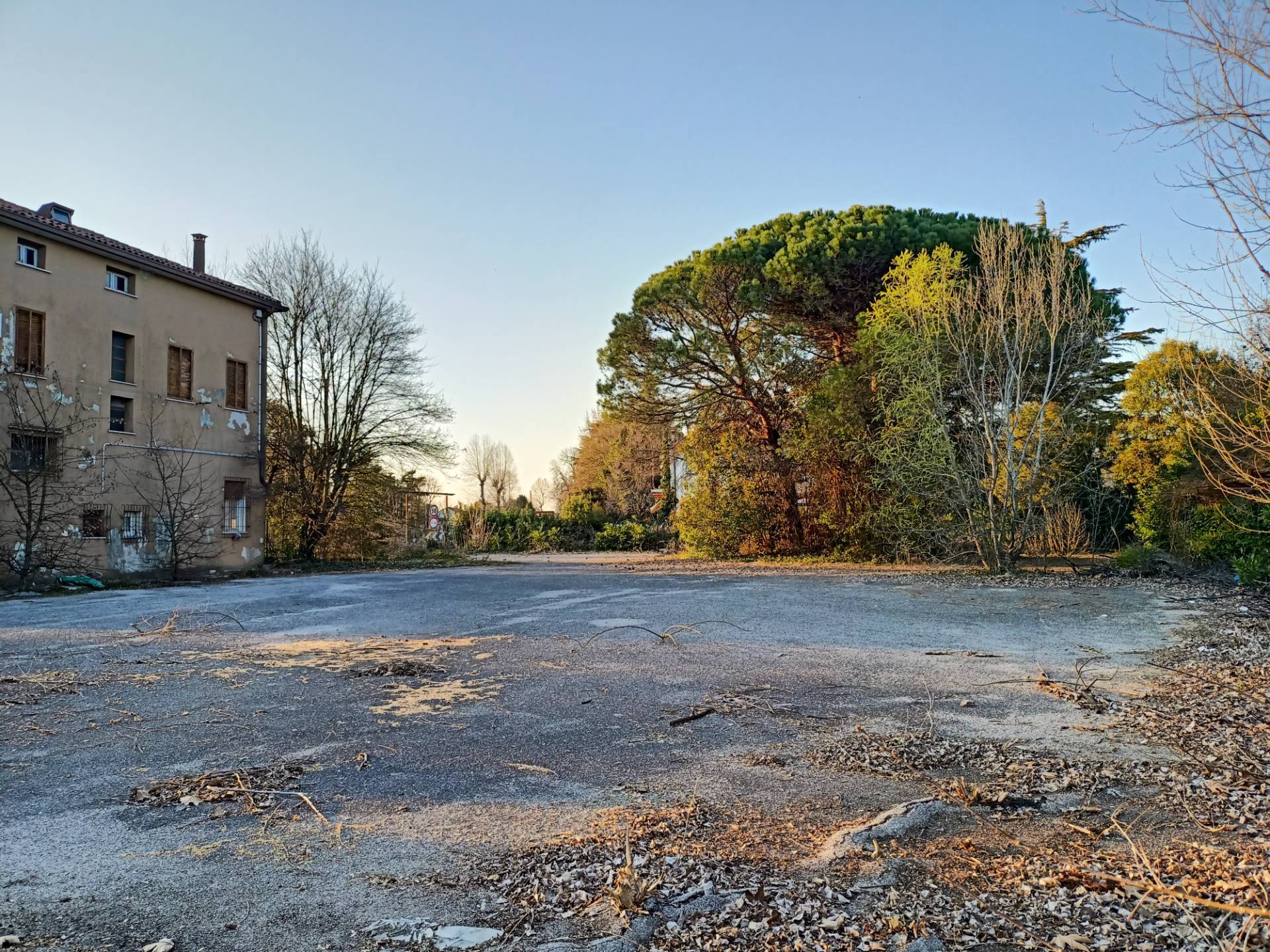 Terreno Edificabile Residenziale in vendita a Mogliano Veneto