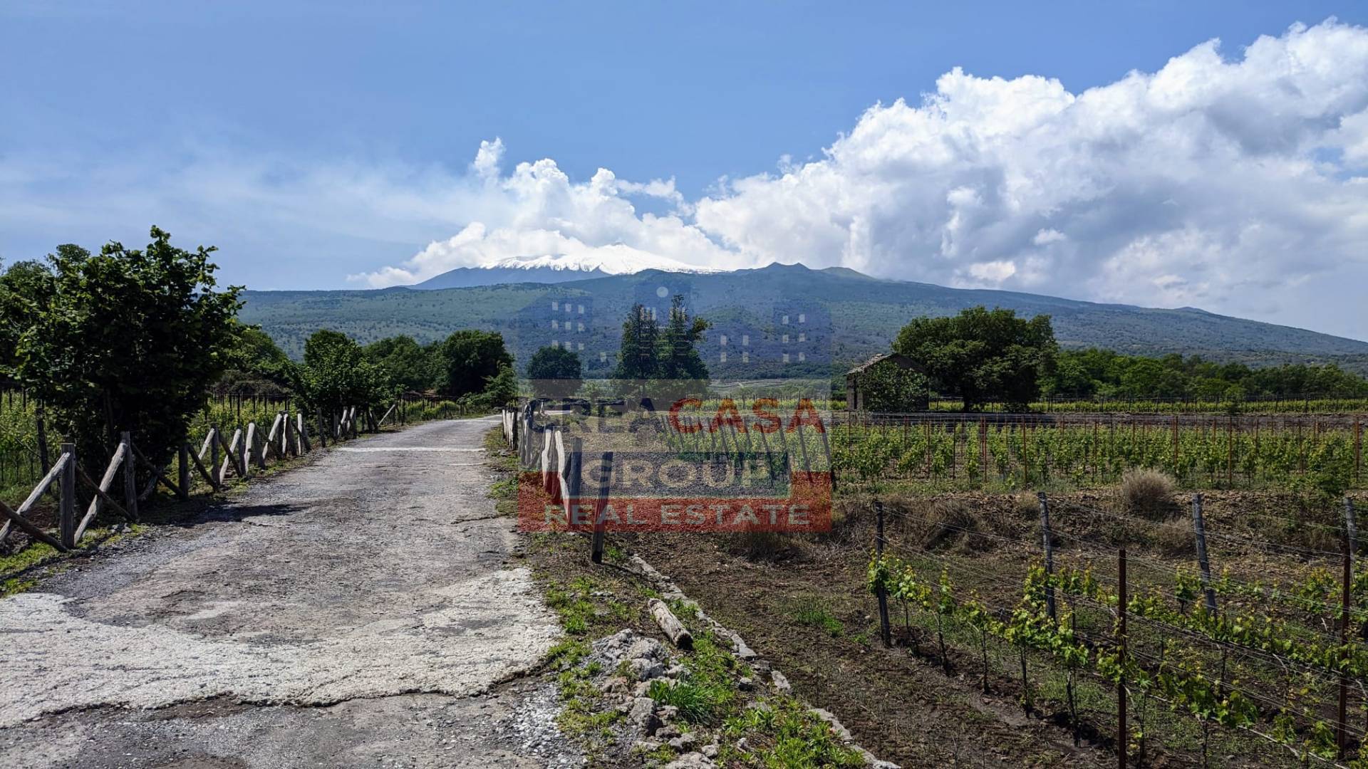 Terreno Agricolo in vendita a Castiglione di Sicilia
