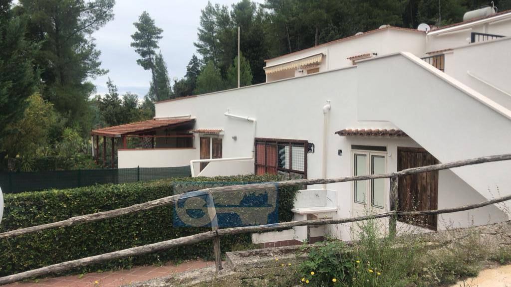 Appartamento in vendita a Peschici, 3 locali, zona Località: Zonasemicentrale, prezzo € 50.000 | PortaleAgenzieImmobiliari.it