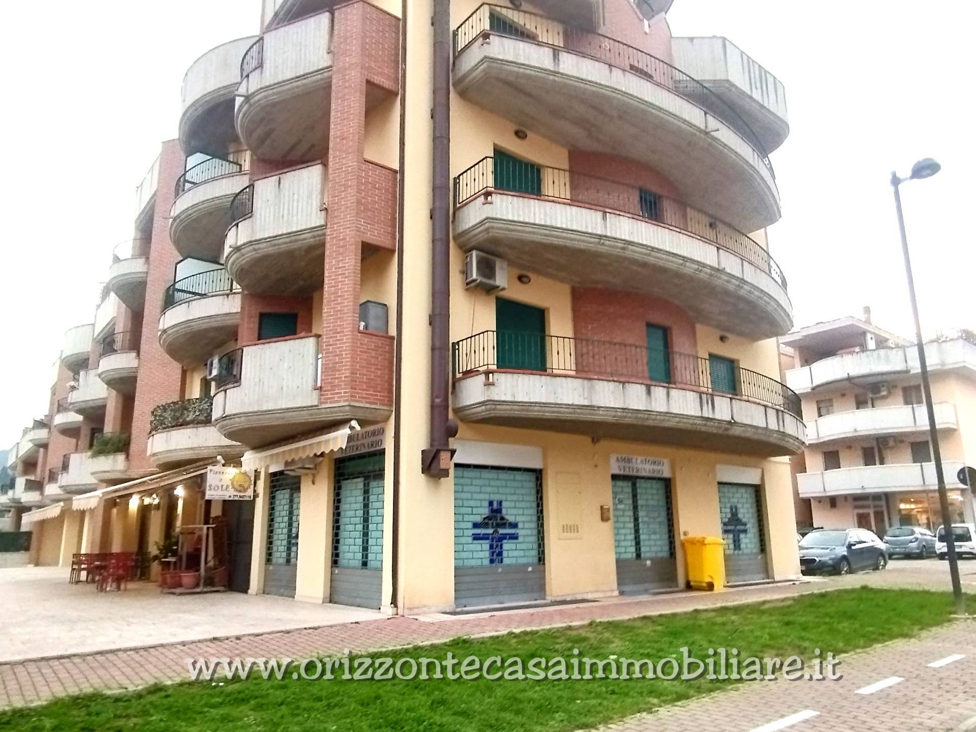 Appartamento in affitto a Ascoli Piceno, 6 locali, zona icelli, Trattative riservate | PortaleAgenzieImmobiliari.it