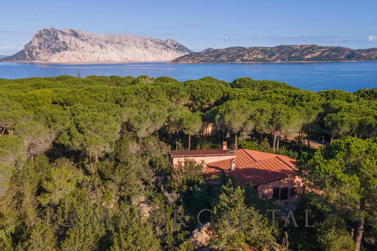 Villa in vendita a San Teodoro, 8 locali, prezzo € 1.150.000 | PortaleAgenzieImmobiliari.it