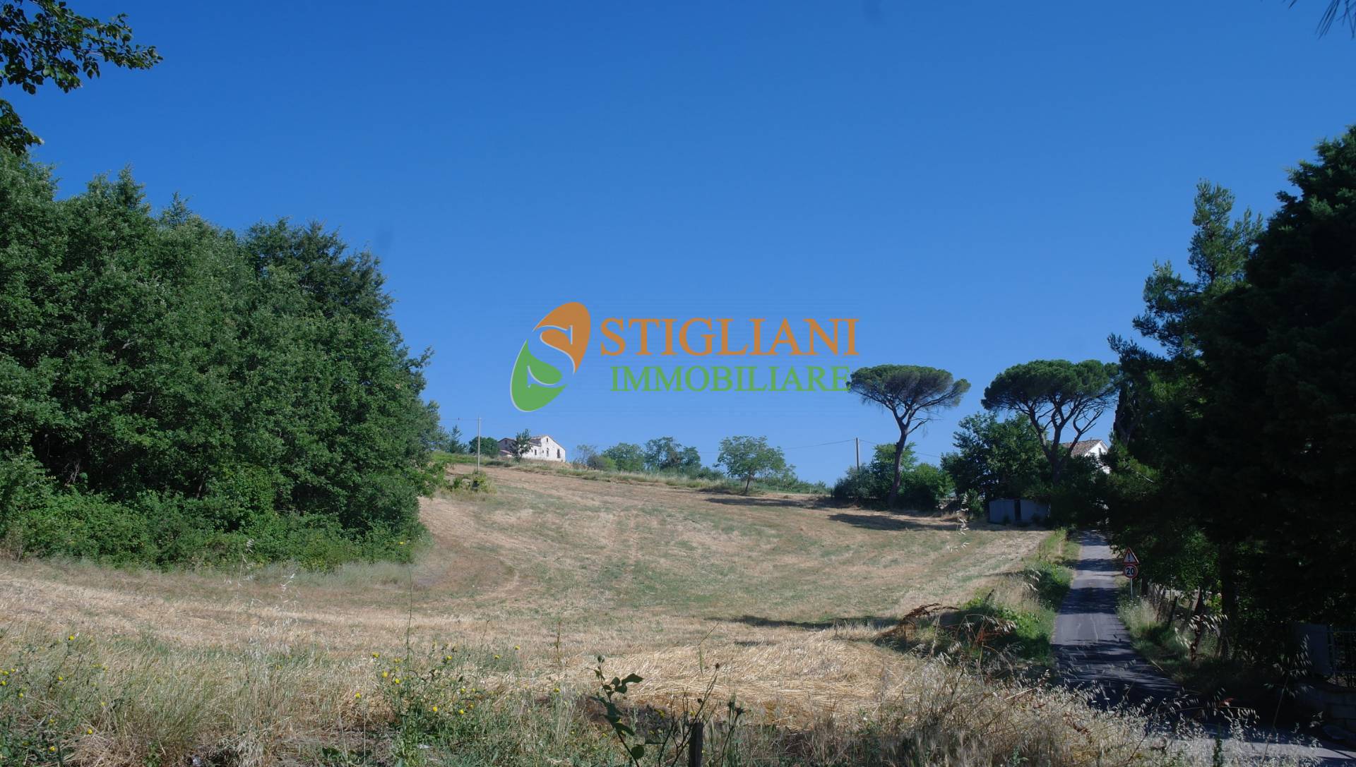 Terreno Agricolo in vendita a Ripalimosani, 9999 locali, zona Località: ContradaValleAlberto, Trattative riservate | PortaleAgenzieImmobiliari.it