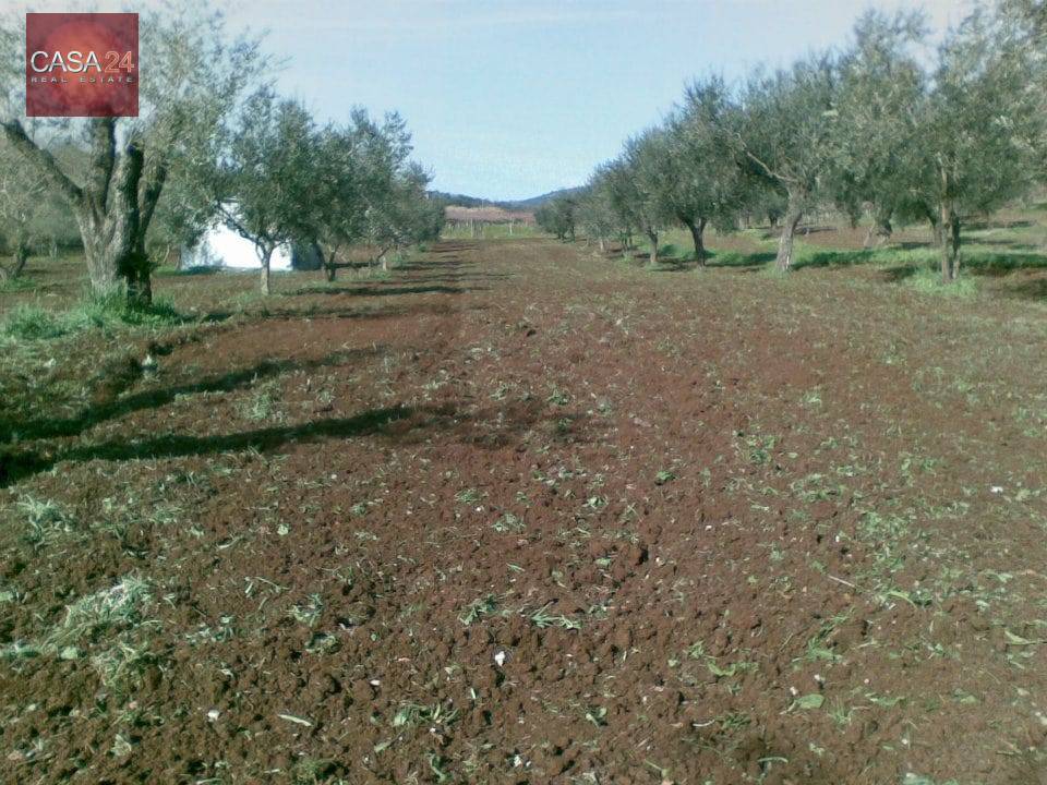 Terreno Agricolo in vendita a Cori, 9999 locali, prezzo € 20.000 | CambioCasa.it