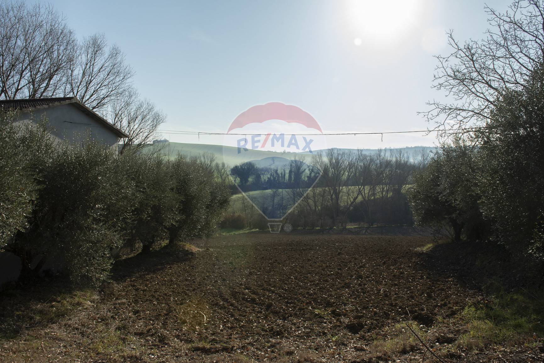 Terreno Agricolo in vendita a Filottrano, 9999 locali, prezzo € 59.000 | CambioCasa.it