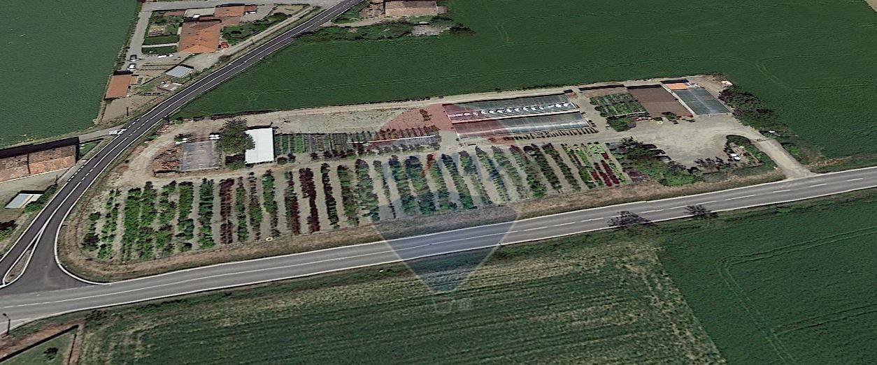 Terreno Agricolo in vendita a Sale, 9999 locali, prezzo € 150.000 | CambioCasa.it
