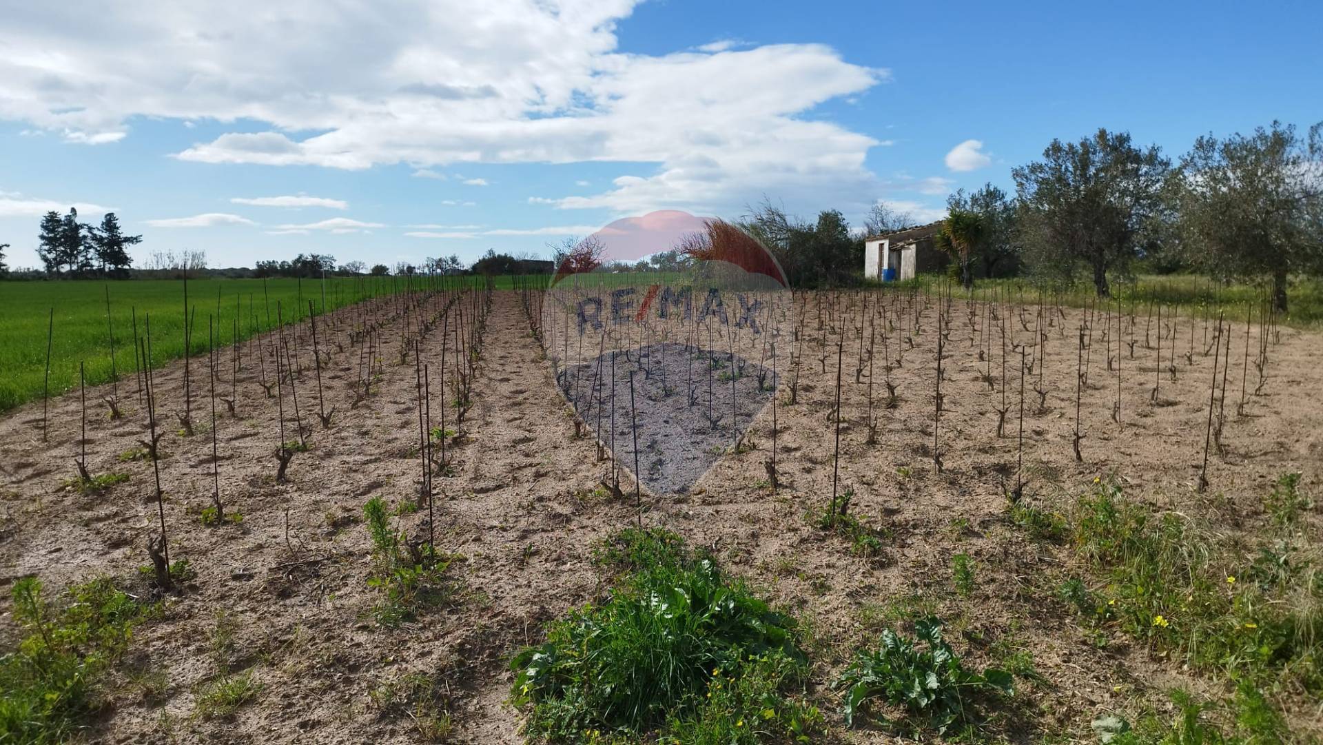 Terreno Agricolo in vendita a Noto, 9999 locali, zona Località: SanLorenzo, prezzo € 95.000 | CambioCasa.it