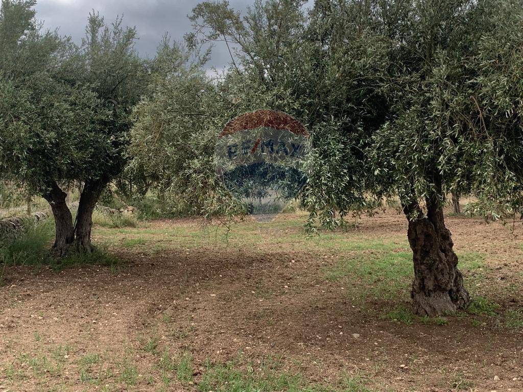 Terreno Agricolo in vendita a Chiaramonte Gulfi, 9999 locali, zona Zona: Roccazzo, prezzo € 10.000 | CambioCasa.it