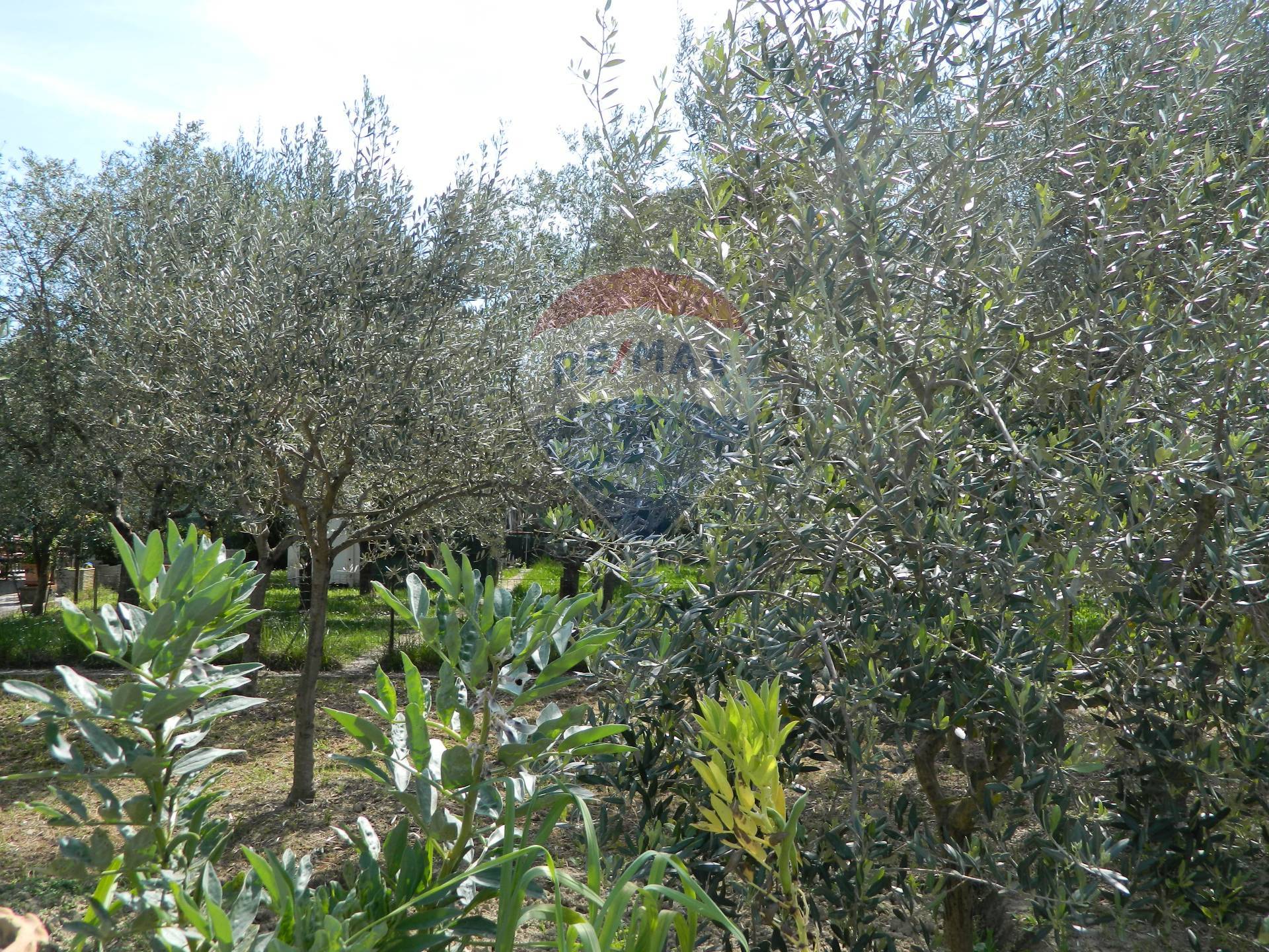 Terreno Edificabile Residenziale in vendita a Empoli