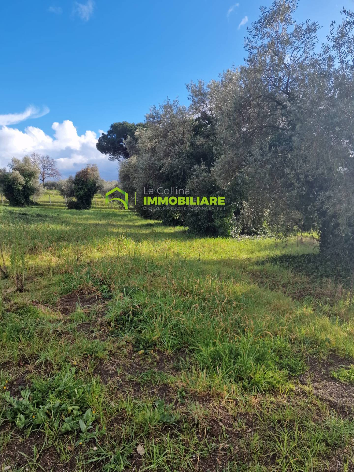 Terreno Agricolo in vendita a Velletri, 9999 locali, prezzo € 54.000 | PortaleAgenzieImmobiliari.it