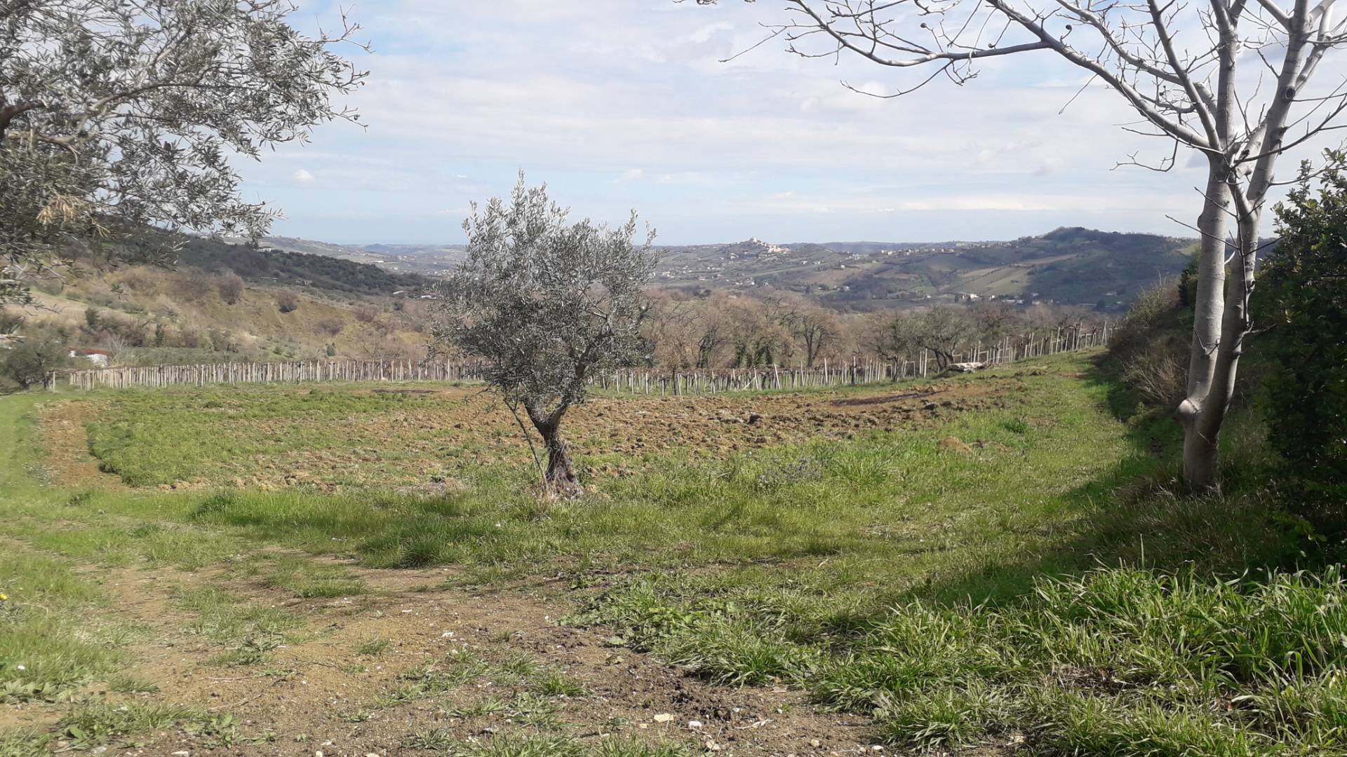 Terreno Agricolo in vendita a Bucchianico, 9999 locali, prezzo € 60.000 | PortaleAgenzieImmobiliari.it