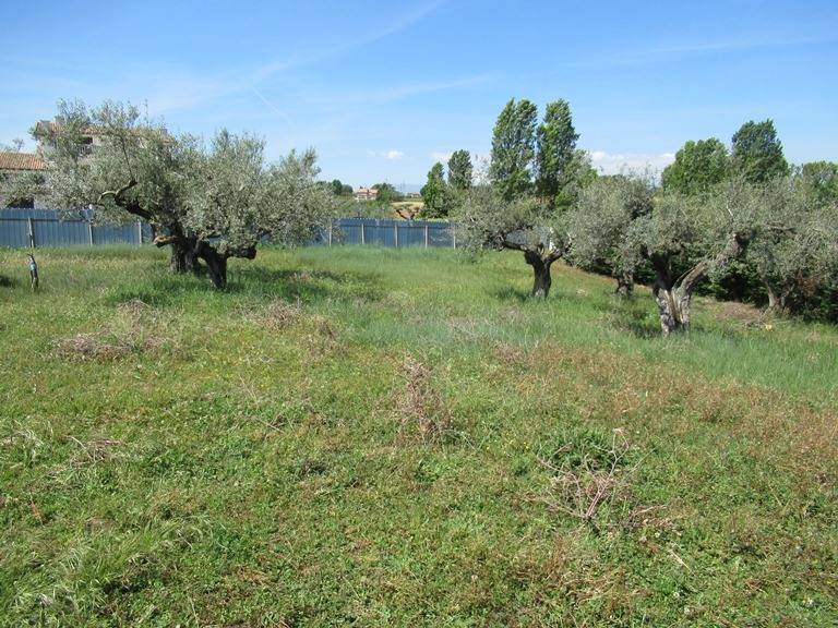 Terreno Agricolo in vendita a Spoltore, 9999 locali, zona Località: S.aTeresa, prezzo € 180.000 | PortaleAgenzieImmobiliari.it