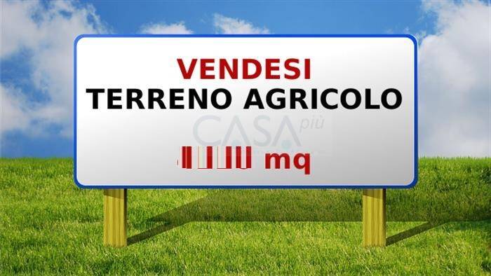 Terreno Agricolo in vendita a Monsampolo del Tronto, 9999 locali, zona ampolo, prezzo € 99.000 | PortaleAgenzieImmobiliari.it