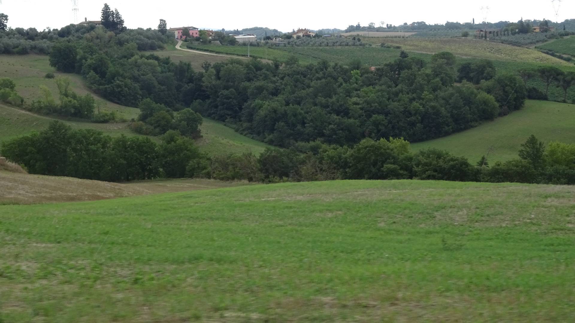 Terreno Agricolo in Vendita a Montespertoli