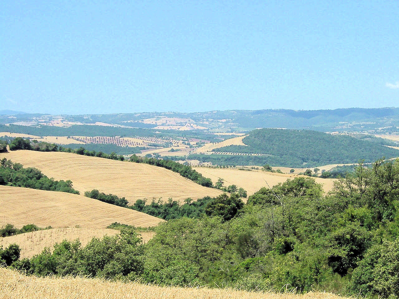 Terreno Agricolo in vendita a Manciano, 9999 locali, zona Località: PoderidiMontemerano, Trattative riservate | CambioCasa.it