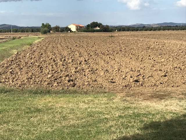 Terreno Agricolo in vendita a Orbetello, 9999 locali, zona Località: LaPolverosa, prezzo € 100.000 | CambioCasa.it
