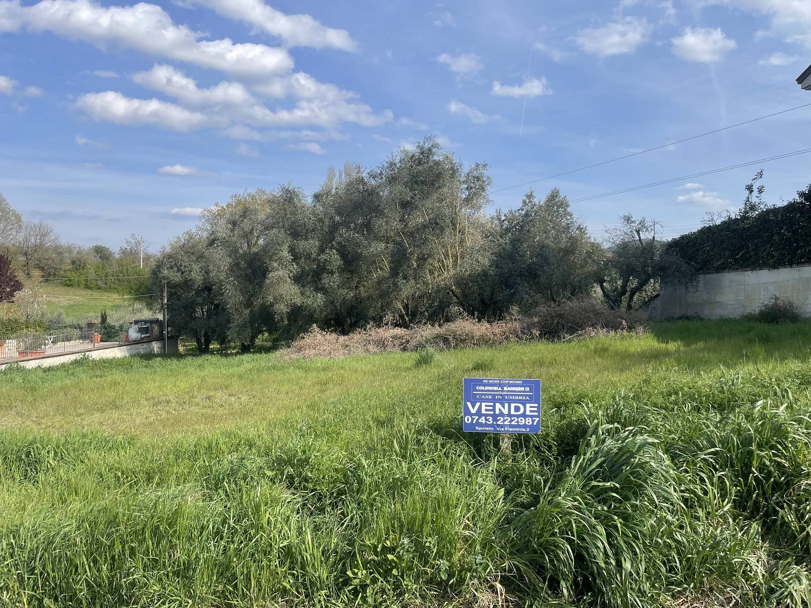 Terreno Edificabile Residenziale in vendita a Bettona - Zona: Passaggio