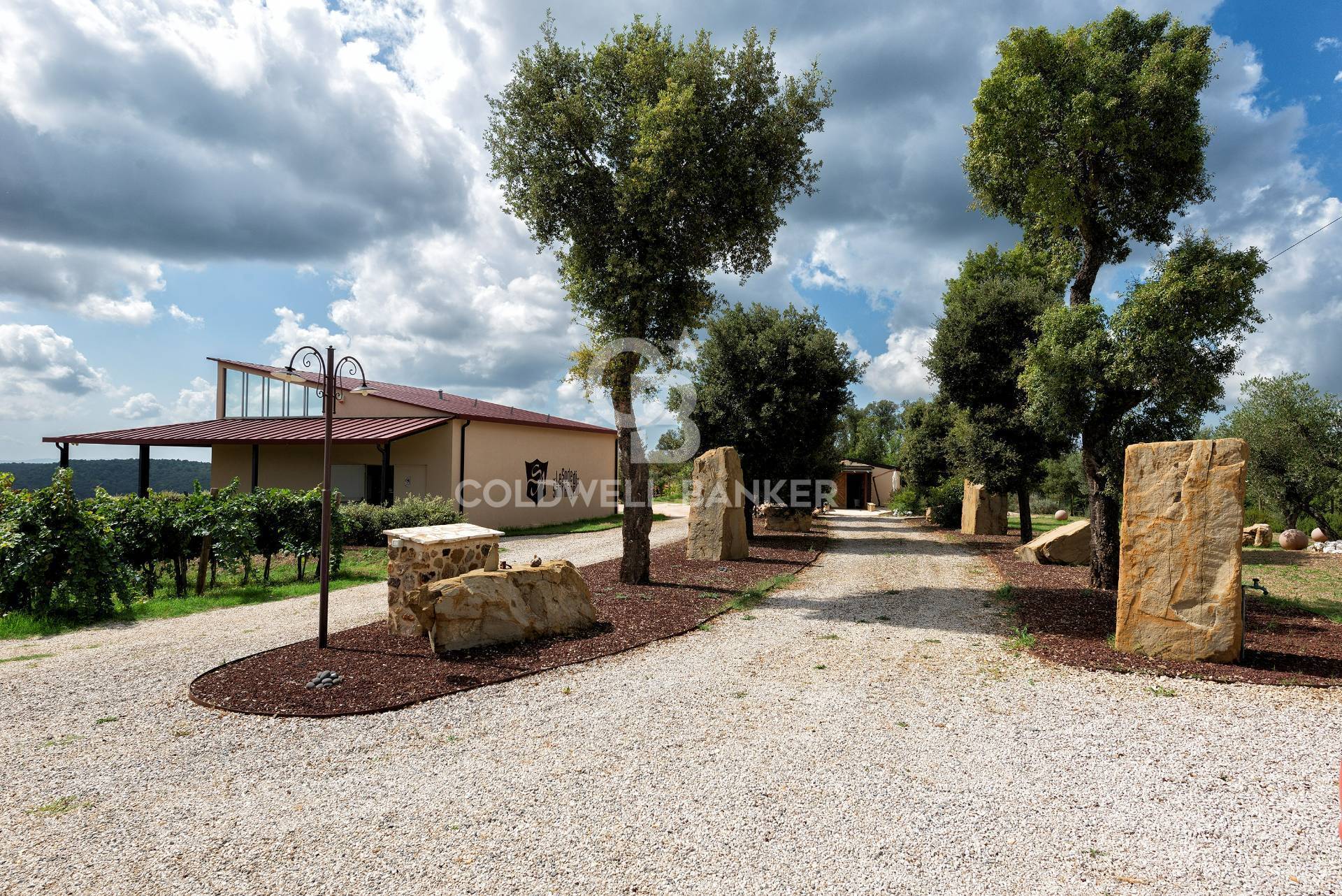Azienda Agricola in vendita a Massa Marittima, 9999 locali, Trattative riservate | PortaleAgenzieImmobiliari.it