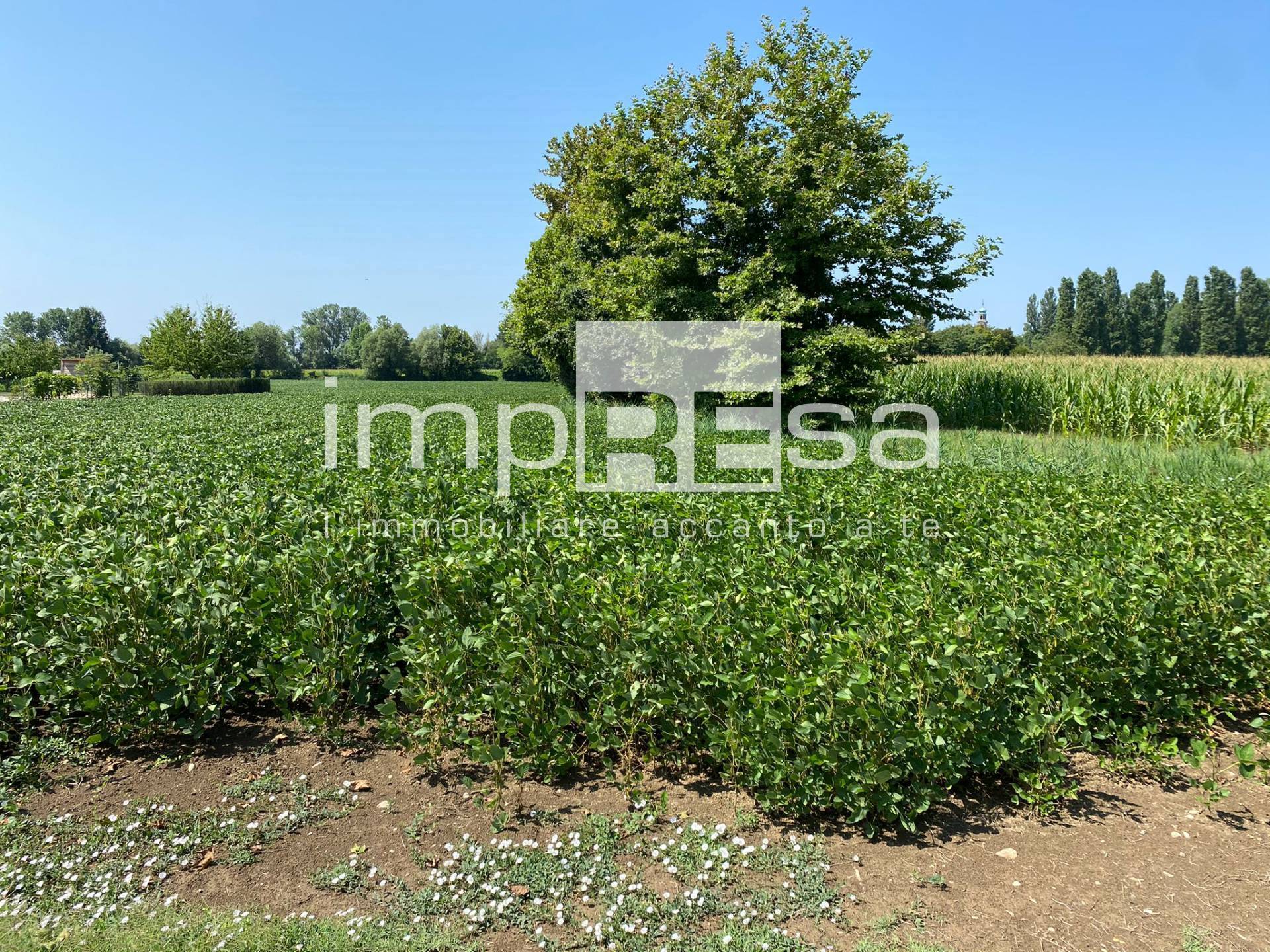Terreno Agricolo in vendita a San Biagio di Callalta, 9999 locali, zona Zona: Spercenigo, prezzo € 159.000 | CambioCasa.it