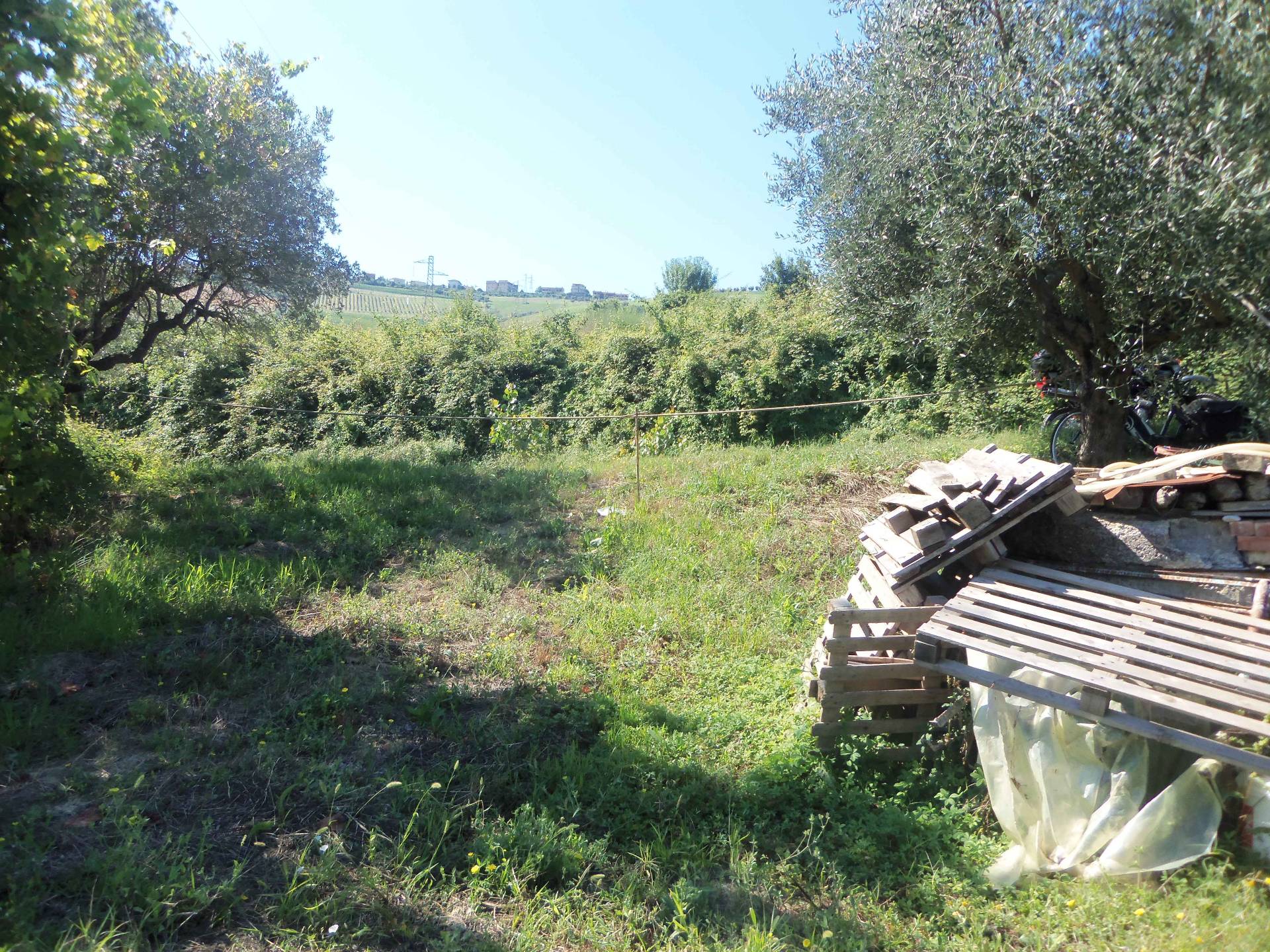 Terreno Agricolo in vendita a Acquaviva Picena, 9999 locali, prezzo € 26.000 | CambioCasa.it