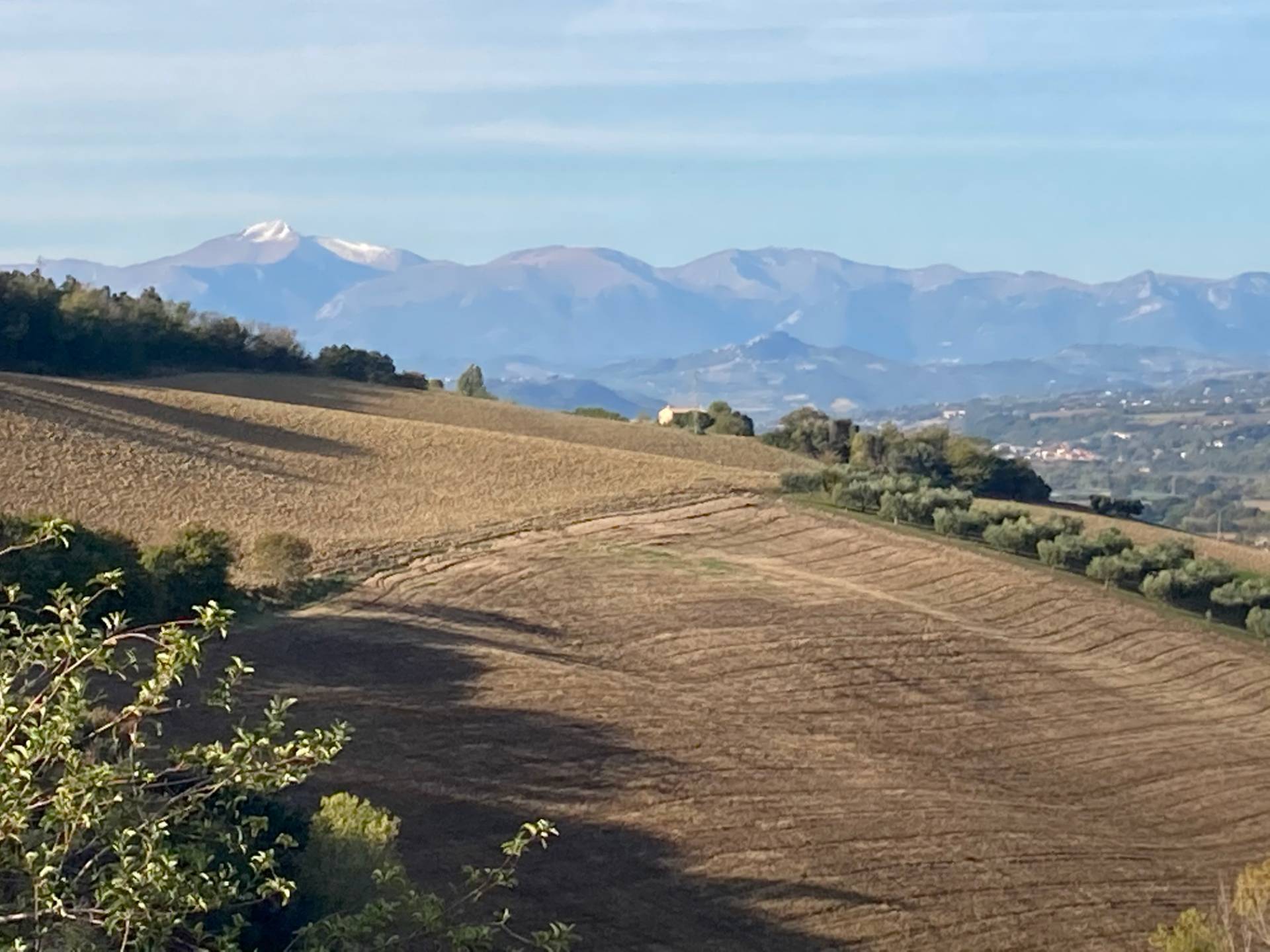 Terreno Agricolo in vendita a Fermo, 9999 locali, prezzo € 209.000 | PortaleAgenzieImmobiliari.it