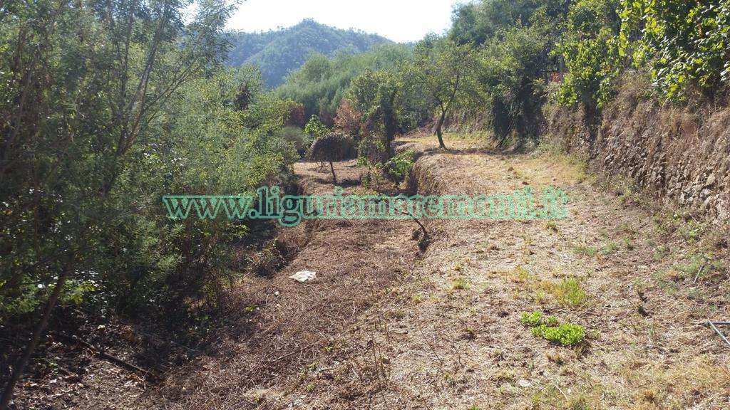 Terreno Agricolo in vendita a Savona, 9999 locali, zona Località: S.uario, prezzo € 20.000 | CambioCasa.it