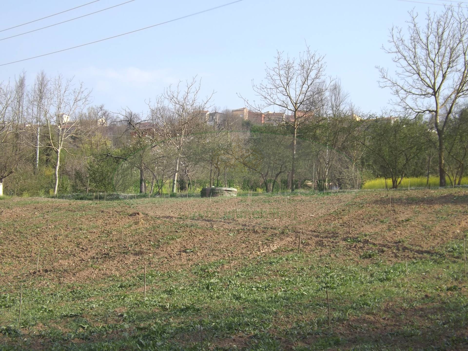 Terreno Agricolo in vendita a Manocalzati, 9999 locali, prezzo € 22.000 | CambioCasa.it