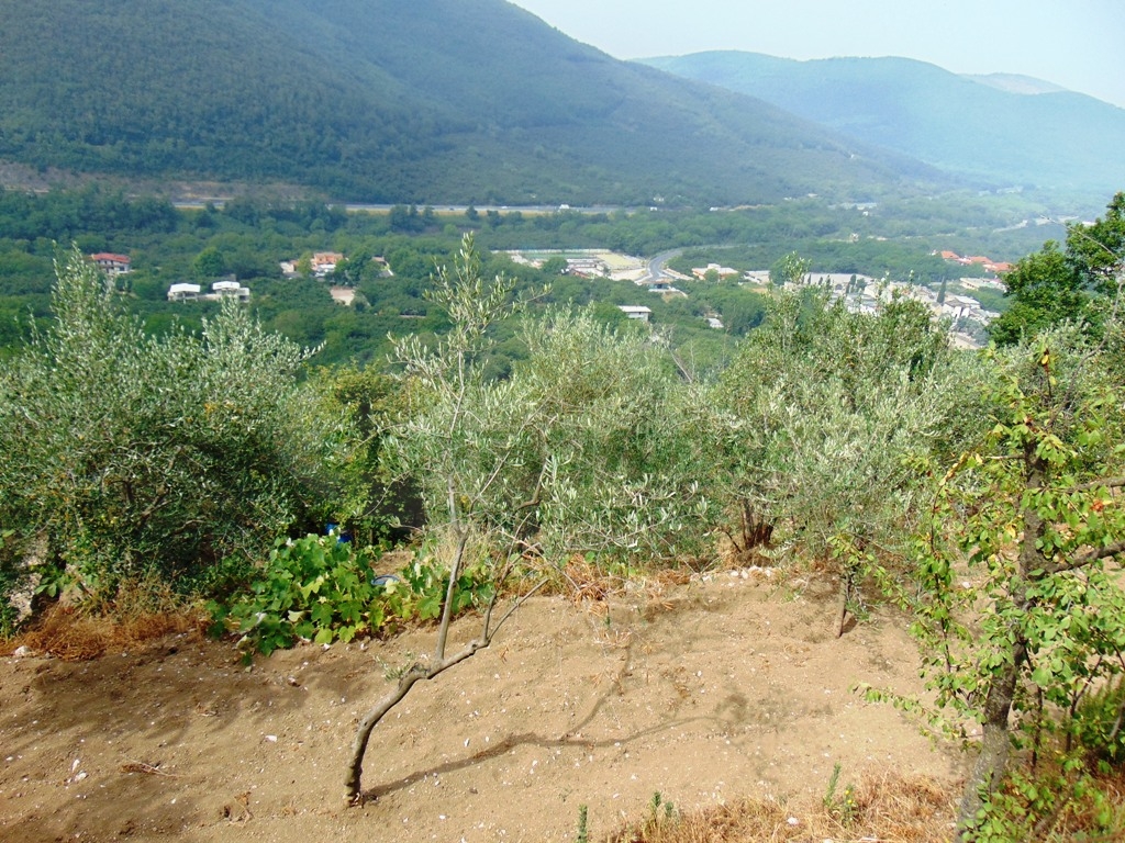 Terreno Agricolo in vendita a Mugnano del Cardinale, 9999 locali, prezzo € 55.000 | PortaleAgenzieImmobiliari.it