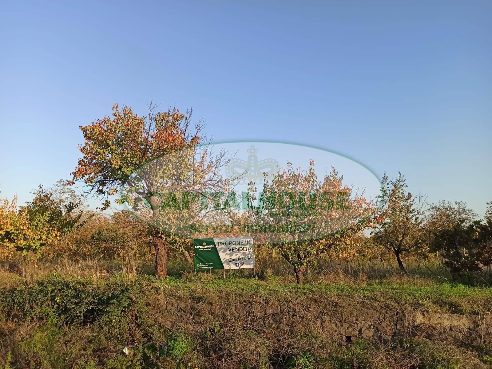 Terreno Agricolo in vendita a Ottaviano, 9999 locali, prezzo € 8.000 | CambioCasa.it