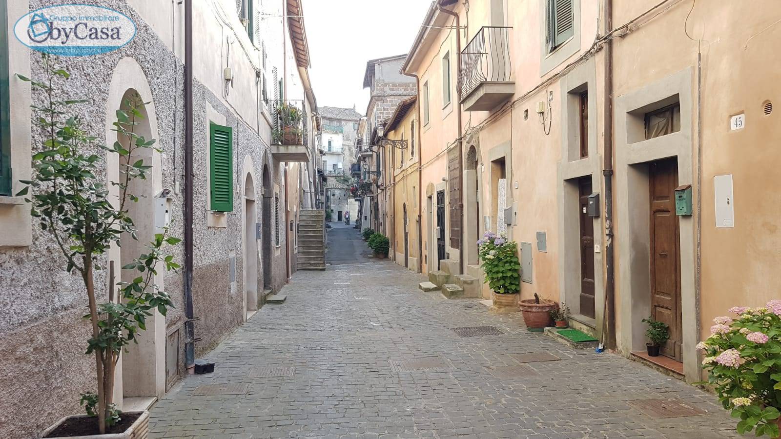 Appartamento in vendita a Bassano Romano, 2 locali, prezzo € 23.000 | CambioCasa.it