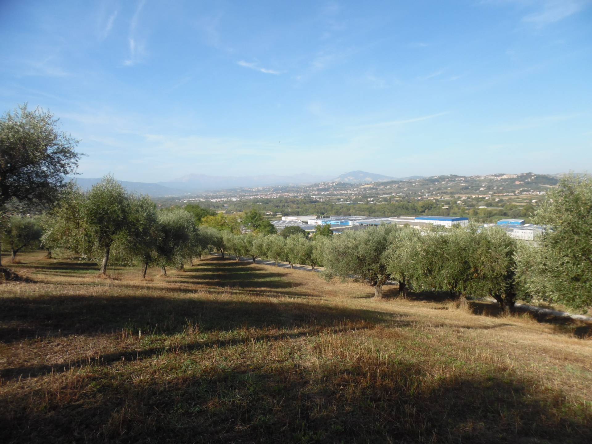 Terreno Agricolo in vendita a Controguerra, 9999 locali, zona Località: Panoramica, prezzo € 100.000 | PortaleAgenzieImmobiliari.it