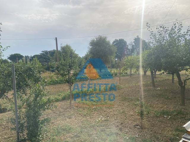 Terreno Agricolo in vendita a Empoli, 9999 locali, prezzo € 70.000 | PortaleAgenzieImmobiliari.it