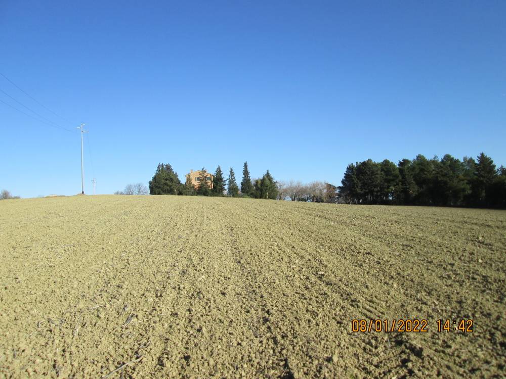 Terreno Agricolo in vendita a Jesi, 9999 locali, prezzo € 130.000 | CambioCasa.it