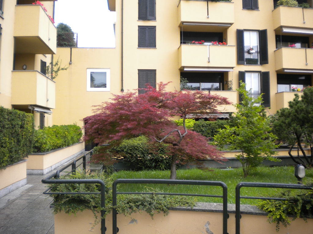 Appartamento in affitto a Legnano, 1 locali, zona ro, prezzo € 450 | PortaleAgenzieImmobiliari.it