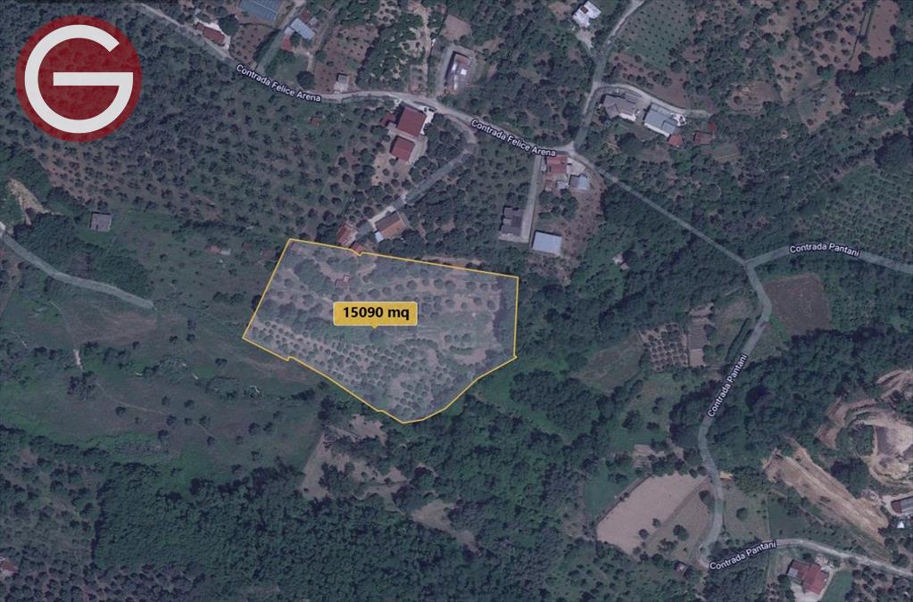 Terreno Edificabile Residenziale in vendita a San Giorgio Morgeto, 9999 locali, prezzo € 53.000 | PortaleAgenzieImmobiliari.it