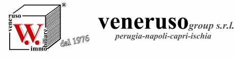 Veneruso Group srl