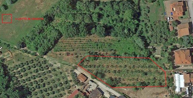 Terreno Edificabile Residenziale in vendita a Torrita di Siena