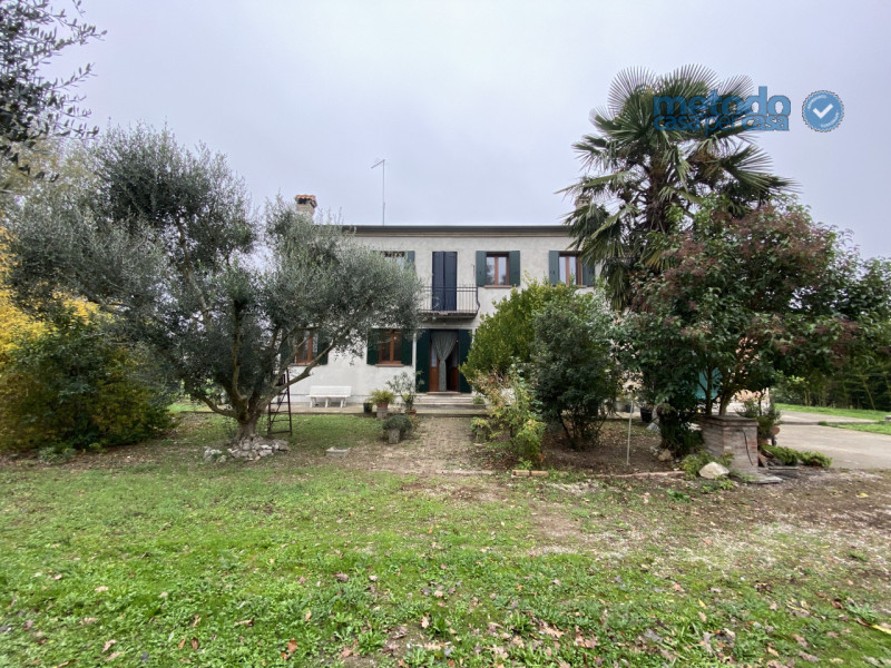 Villa in Vendita a Pettorazza Grimani