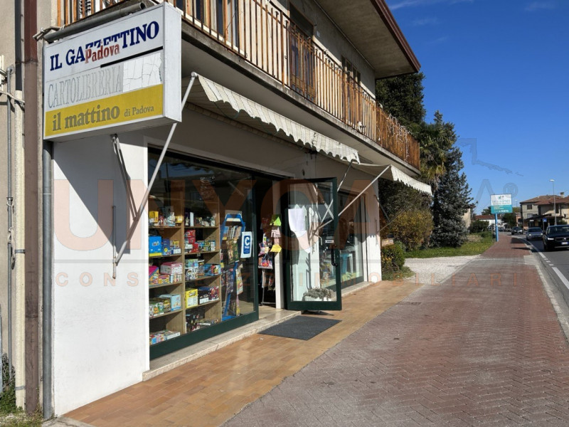 Immobile Commerciale in vendita a Saccolongo, 9999 locali, prezzo € 15.000 | PortaleAgenzieImmobiliari.it