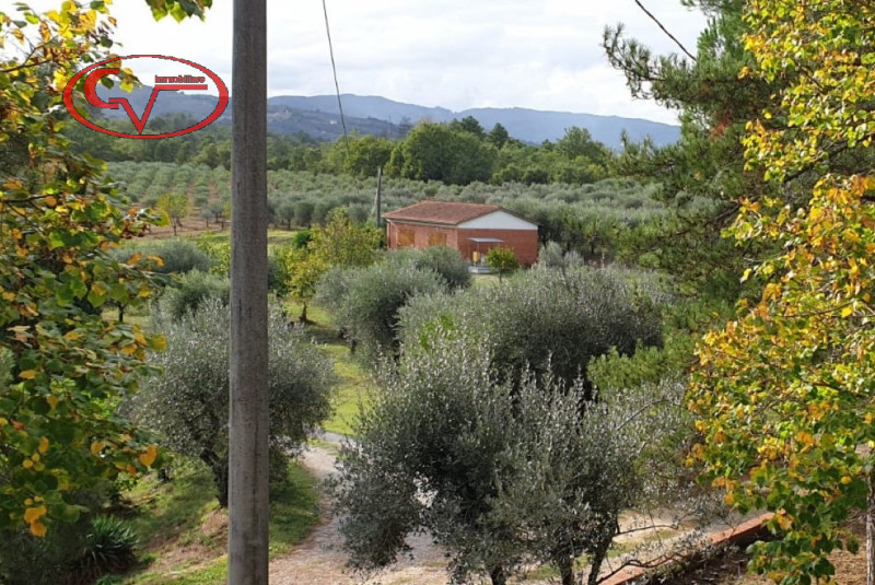Terreno Edificabile Residenziale in vendita a Montevarchi - Zona: Pestello