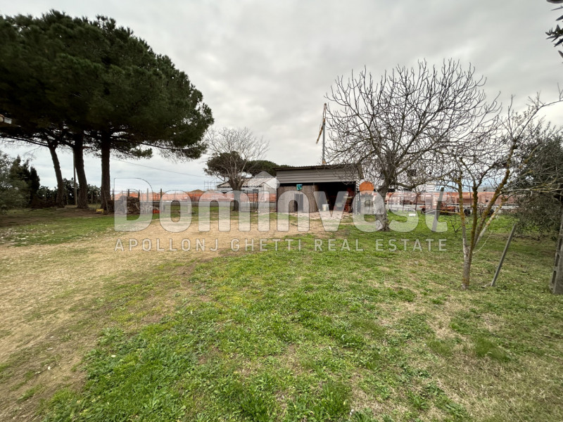 Rustico / Casale in vendita a Capalbio - Zona: Selva nera