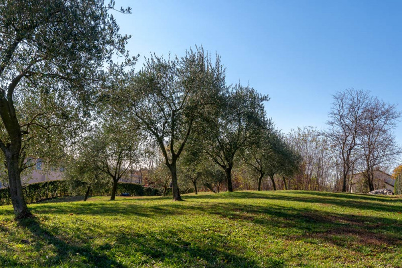 Terreno Edificabile Residenziale in vendita a Crocetta del Montello - Zona: Ciano del Montello