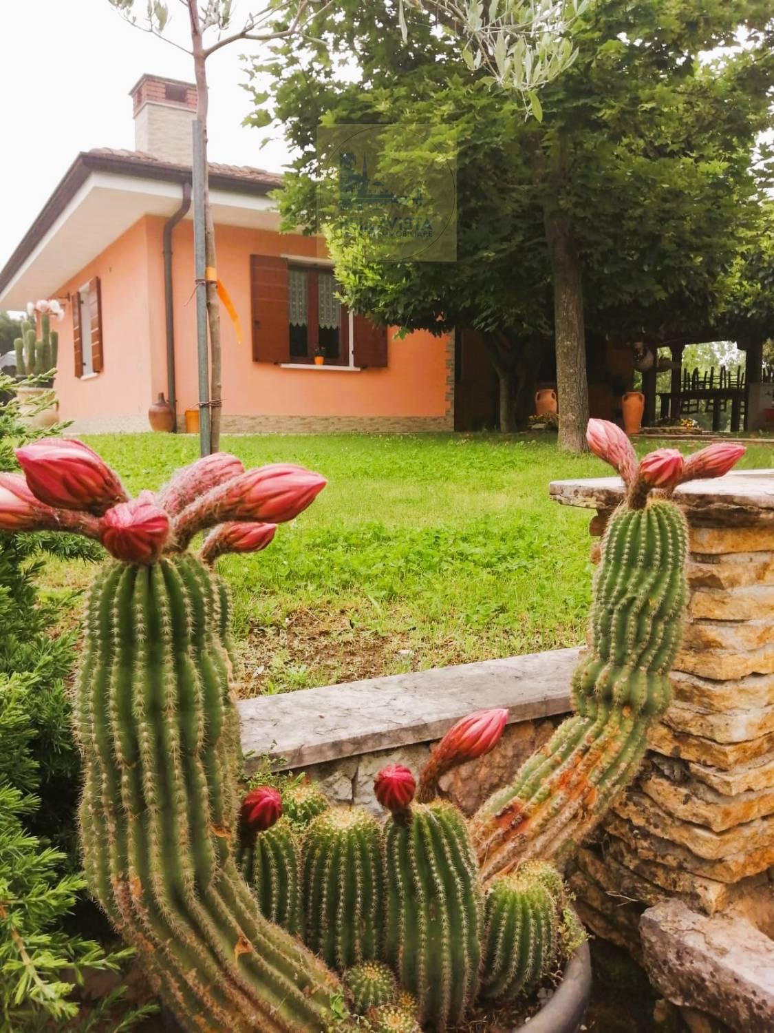 Villa Bifamiliare in vendita a Castel d'Ario, 14 locali, zona ro Urbano, prezzo € 1.450.000 | PortaleAgenzieImmobiliari.it