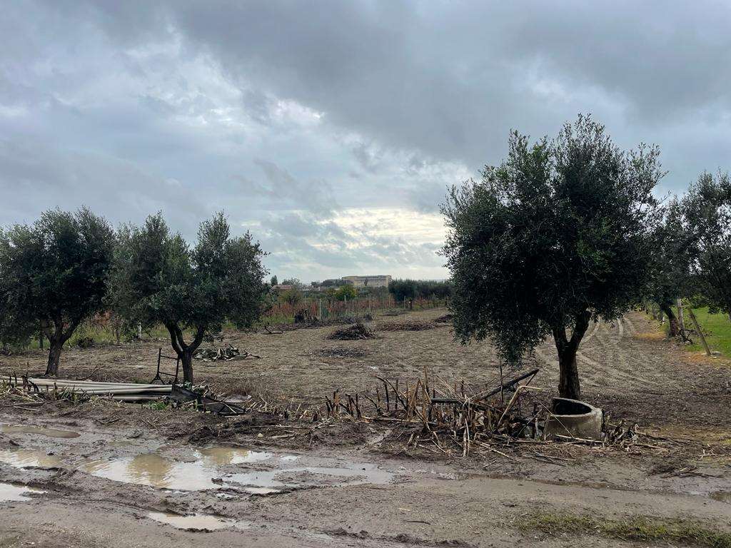 Terreno Agricolo in vendita a Mondragone, 9999 locali, prezzo € 21.000 | PortaleAgenzieImmobiliari.it