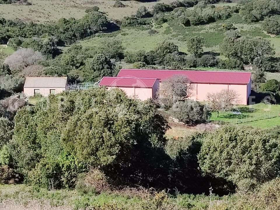 Azienda Agricola in Vendita a Arzachena - Porto Cervo