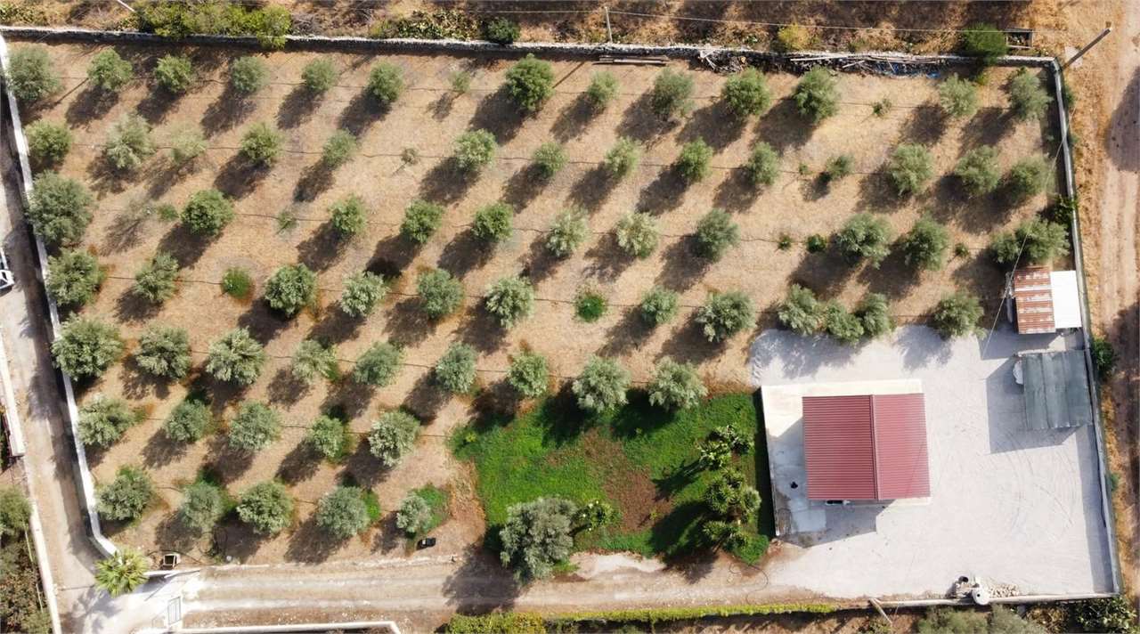 Terreno Agricolo in vendita a Siracusa, 1 locali, zona Località: VIA ELORINA, prezzo € 56.000 | CambioCasa.it