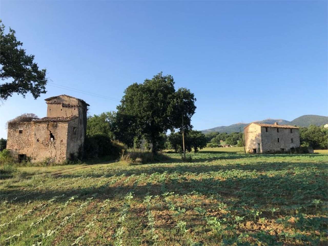 Azienda Agricola in Vendita a Massa Martana