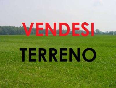 Terreno Agricolo in vendita a Petrosino, 9999 locali, zona Località: BISCIONE, prezzo € 18.000 | CambioCasa.it