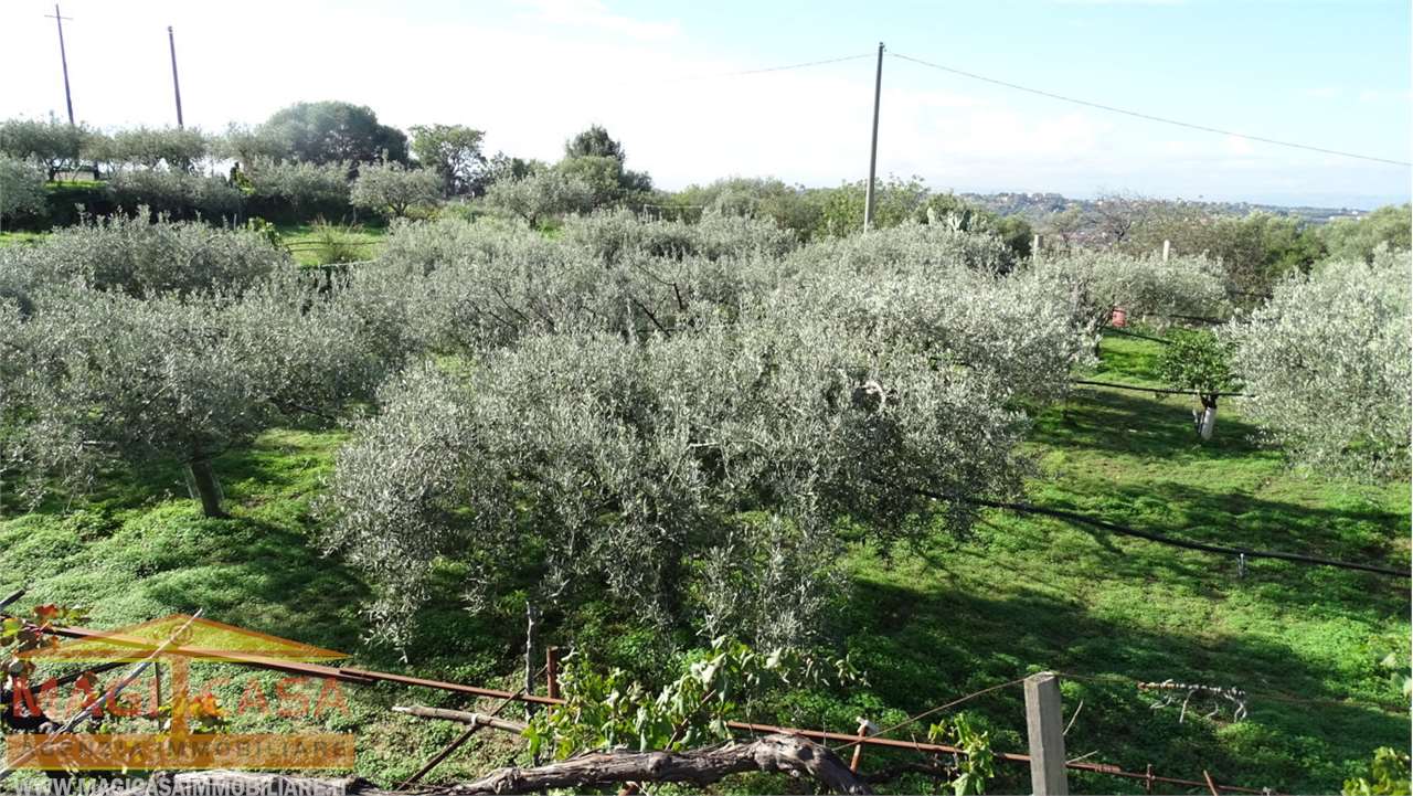 Terreno Agricolo in vendita a Camporotondo Etneo, 1 locali, prezzo € 45.000 | CambioCasa.it
