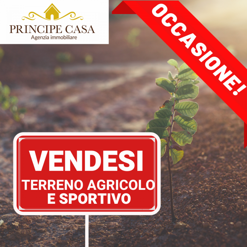 Terreno Edificabile Residenziale in vendita a Villaga, 9999 locali, prezzo € 68.000 | PortaleAgenzieImmobiliari.it